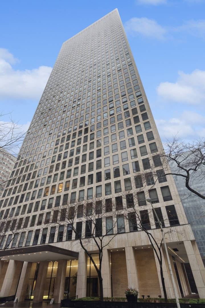 260 E CHESTNUT ST #312, Chicago, IL 60611