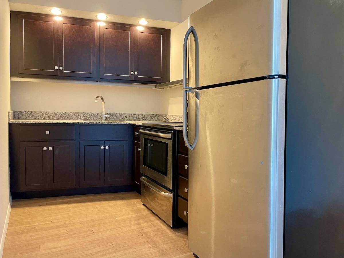 300 N State ST #3101, Chicago, IL 60654