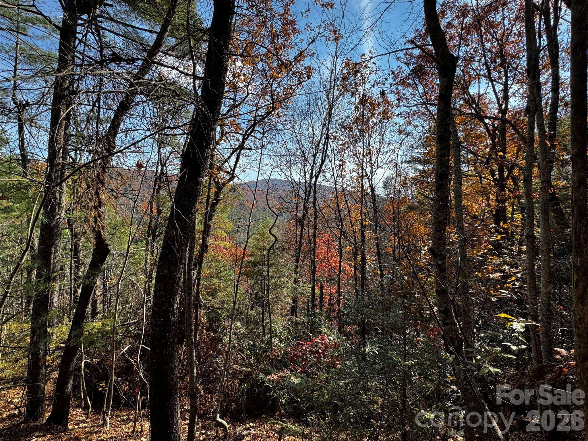 270 S Jarvis DR, Hendersonville, NC 28792