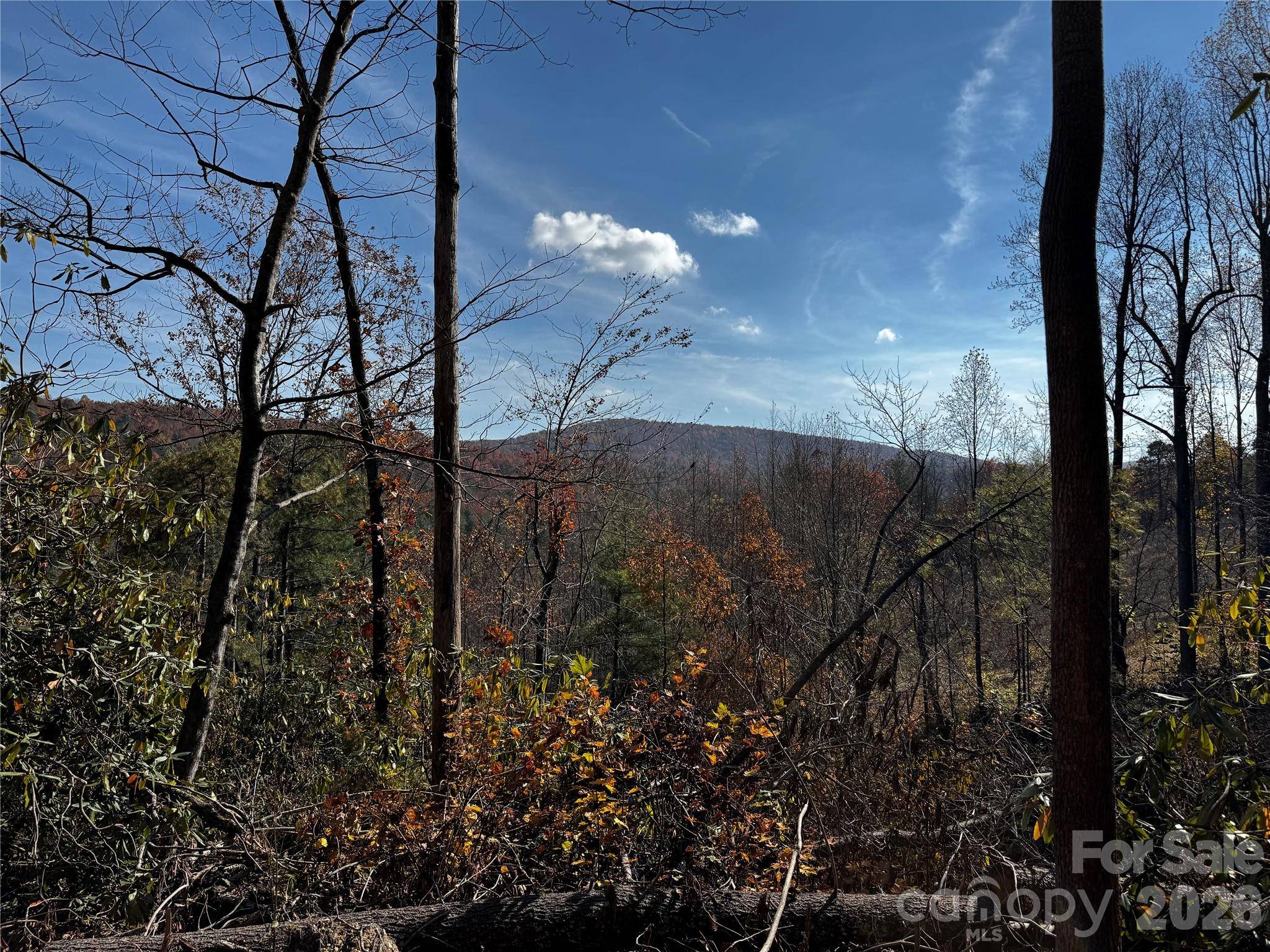 270 S Jarvis DR, Hendersonville, NC 28792