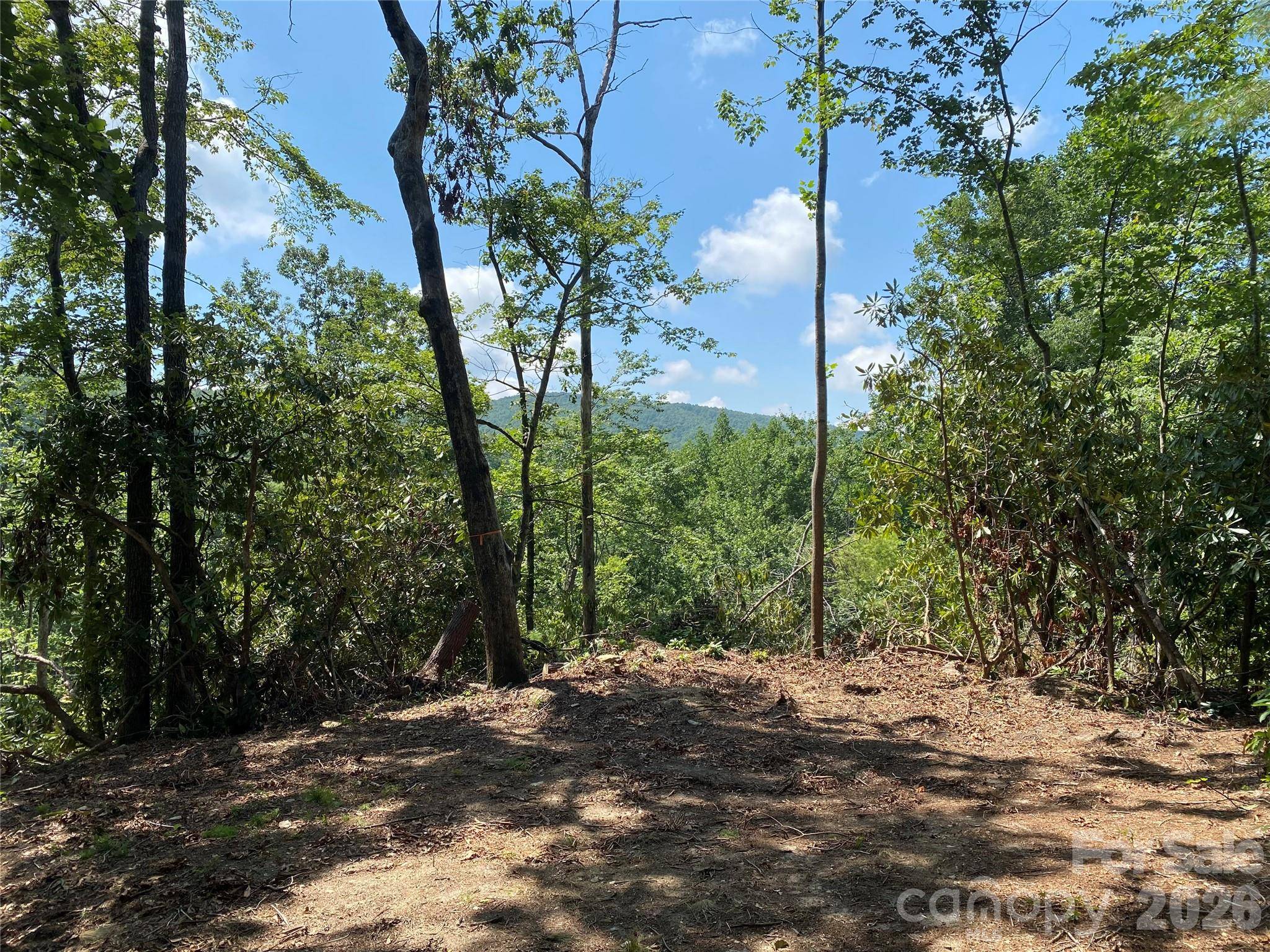 270 S Jarvis DR, Hendersonville, NC 28792