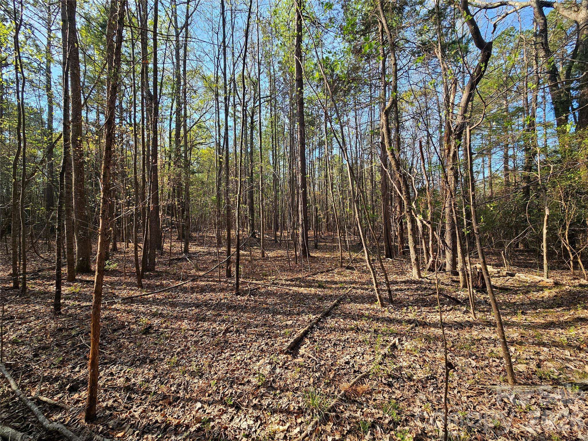 Lot 10 Elliott RD, Richburg, SC 29729