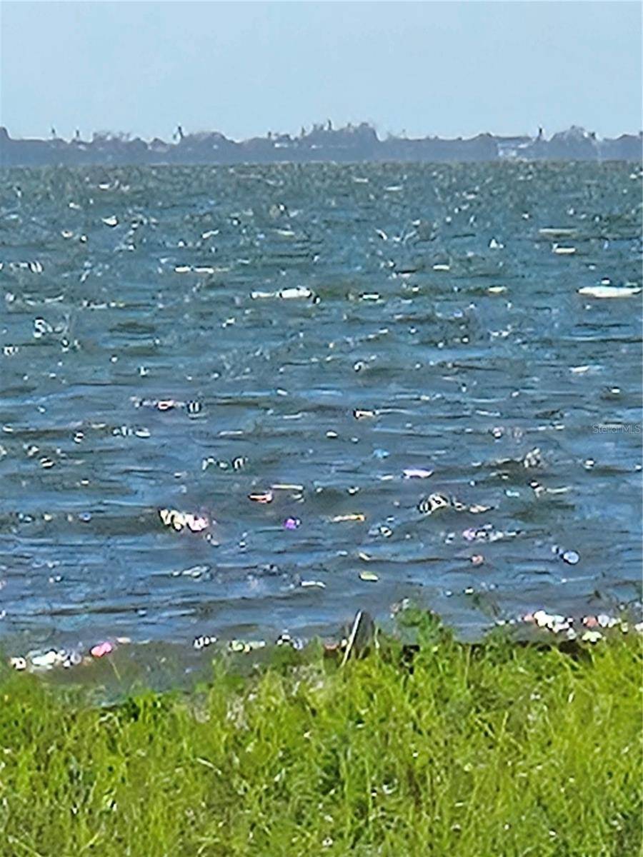 337 N SHORE DR, Sarasota, FL 34234