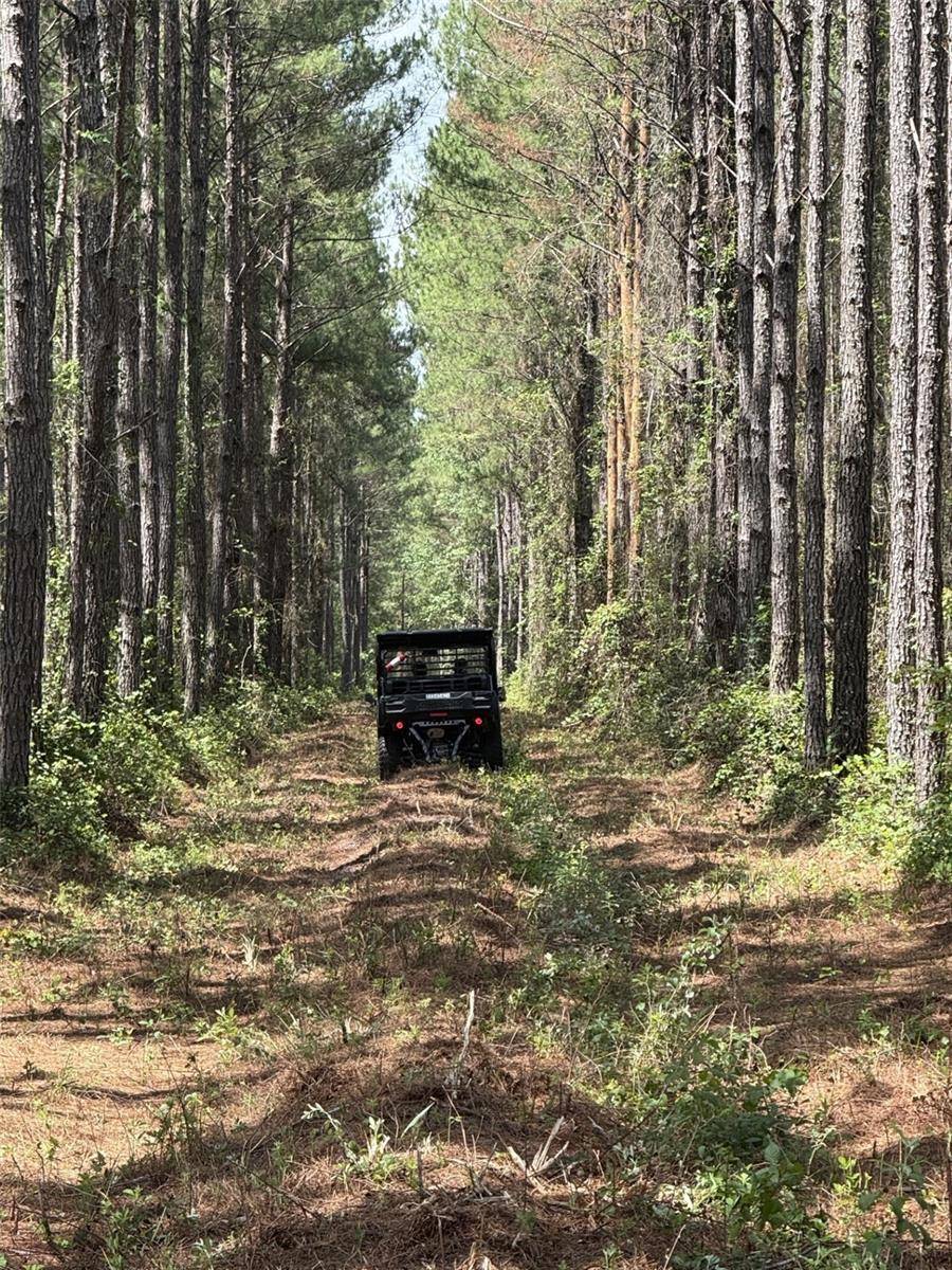 NE 198TH AVE, Lake Butler, FL 32054