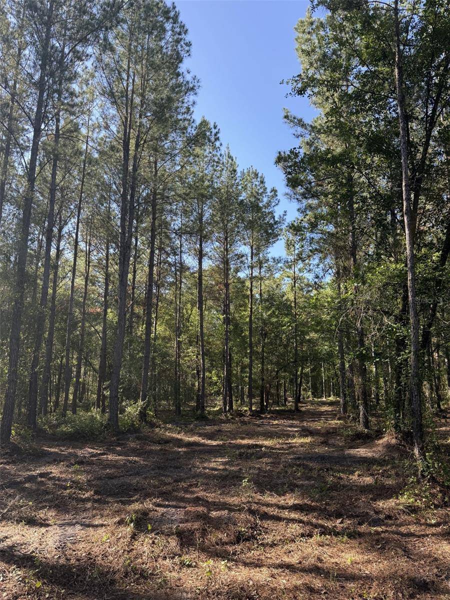 NE 198TH AVE, Lake Butler, FL 32054