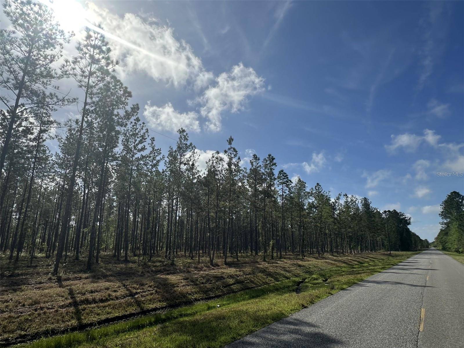 NE 198TH AVE, Lake Butler, FL 32054