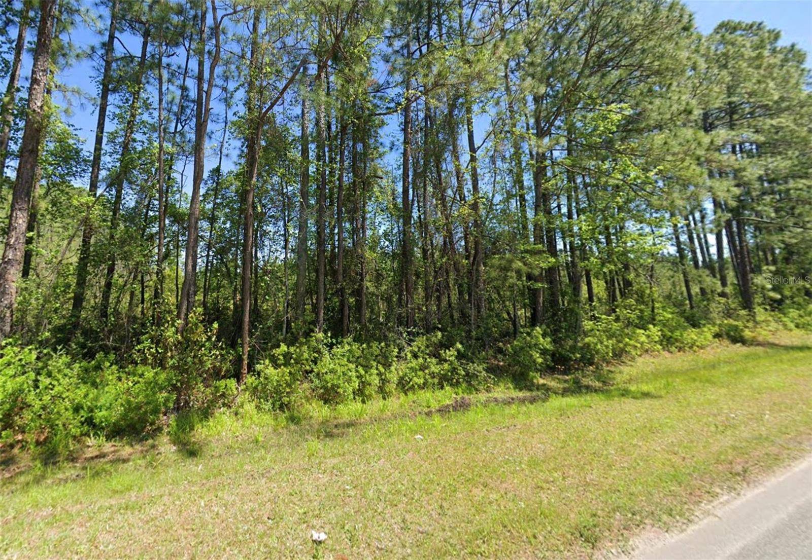 4739 COUNTY ROAD 218 RD, Middleburg, FL 32068