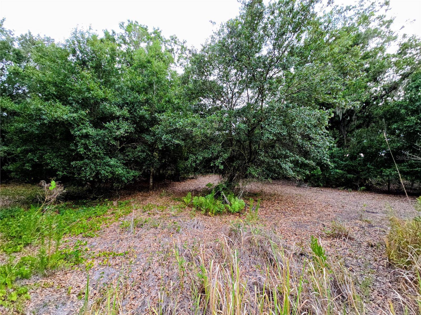 AVON-PARK CUTOFF RD, Fort Meade, FL 33841