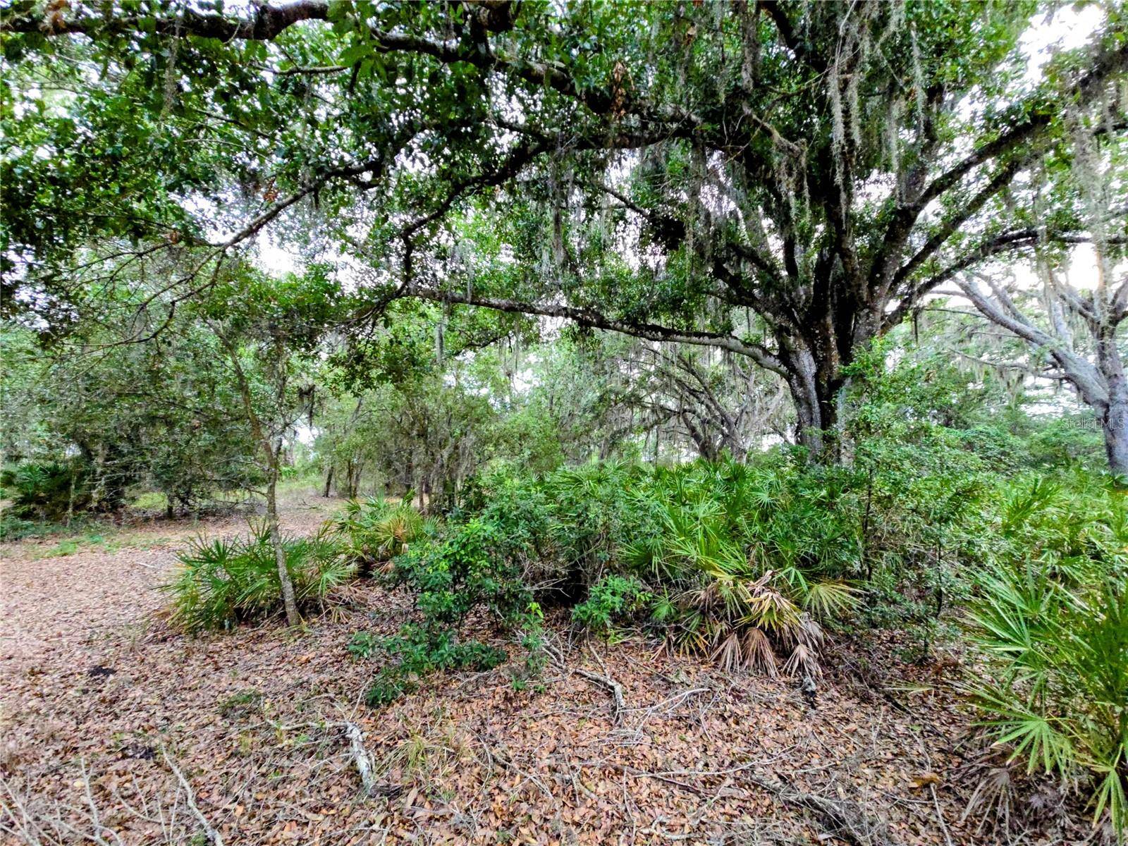 AVON-PARK CUTOFF RD, Fort Meade, FL 33841