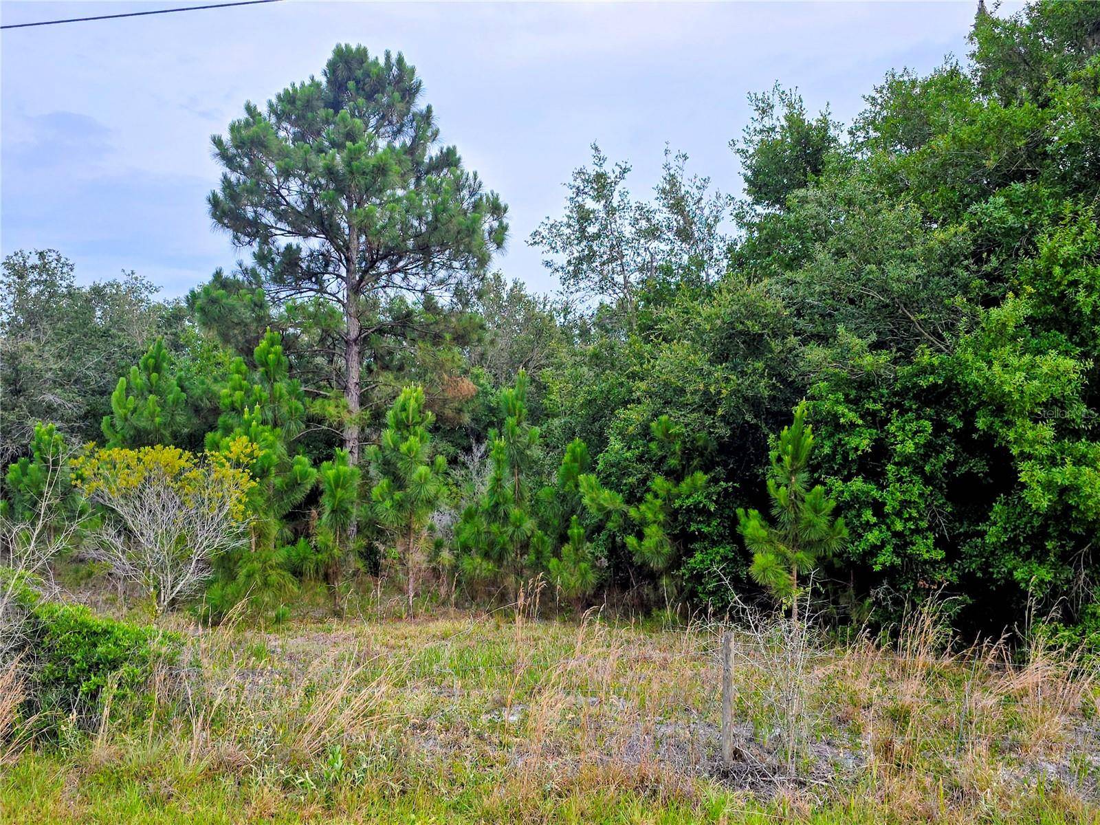 0 AVON PARK CUTOFF RD, Fort Meade, FL 33841
