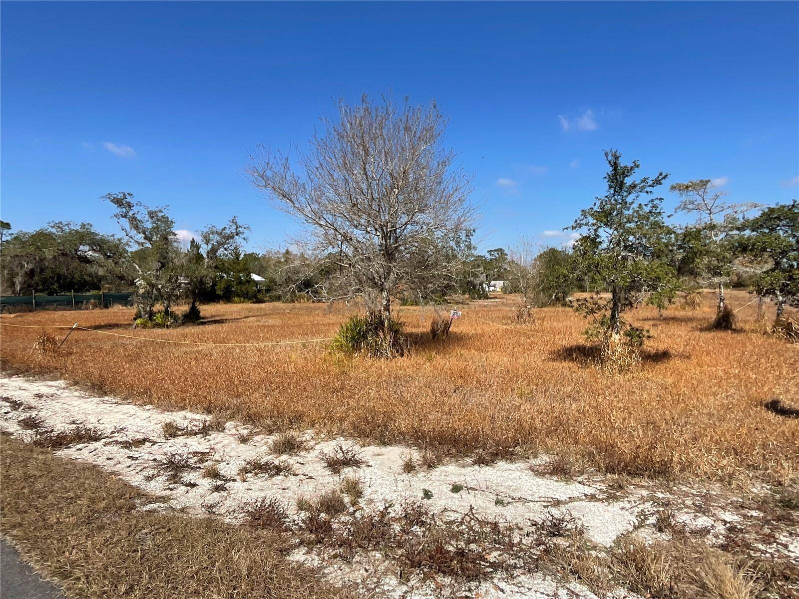 490 HOBBS DR, Venus, FL 33960