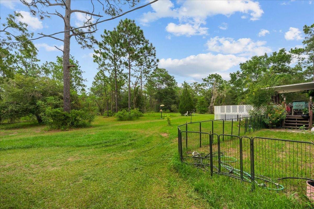 112 BIRCHDALE TRL, Hawthorne, FL 32640