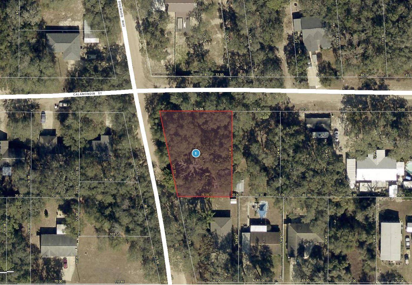 DOGWOOD WAY, Lady Lake, FL 32159