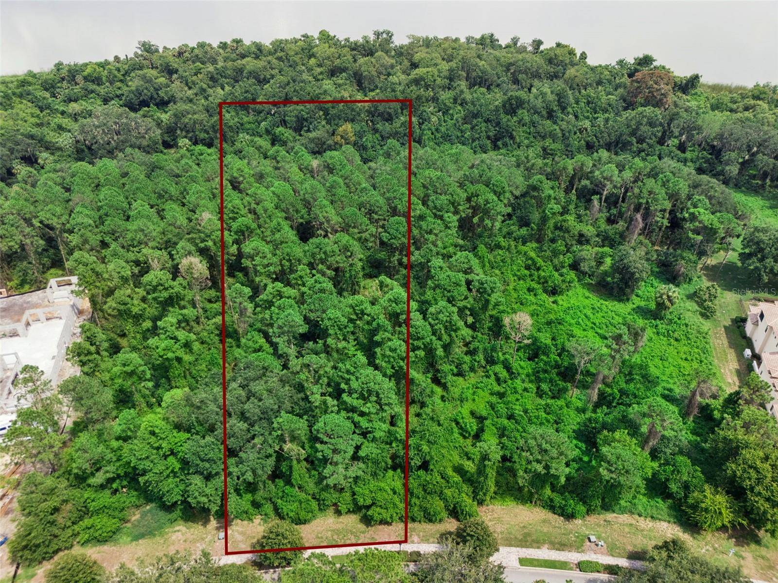 17135 ETRUSCAN LN, Montverde, FL 34756