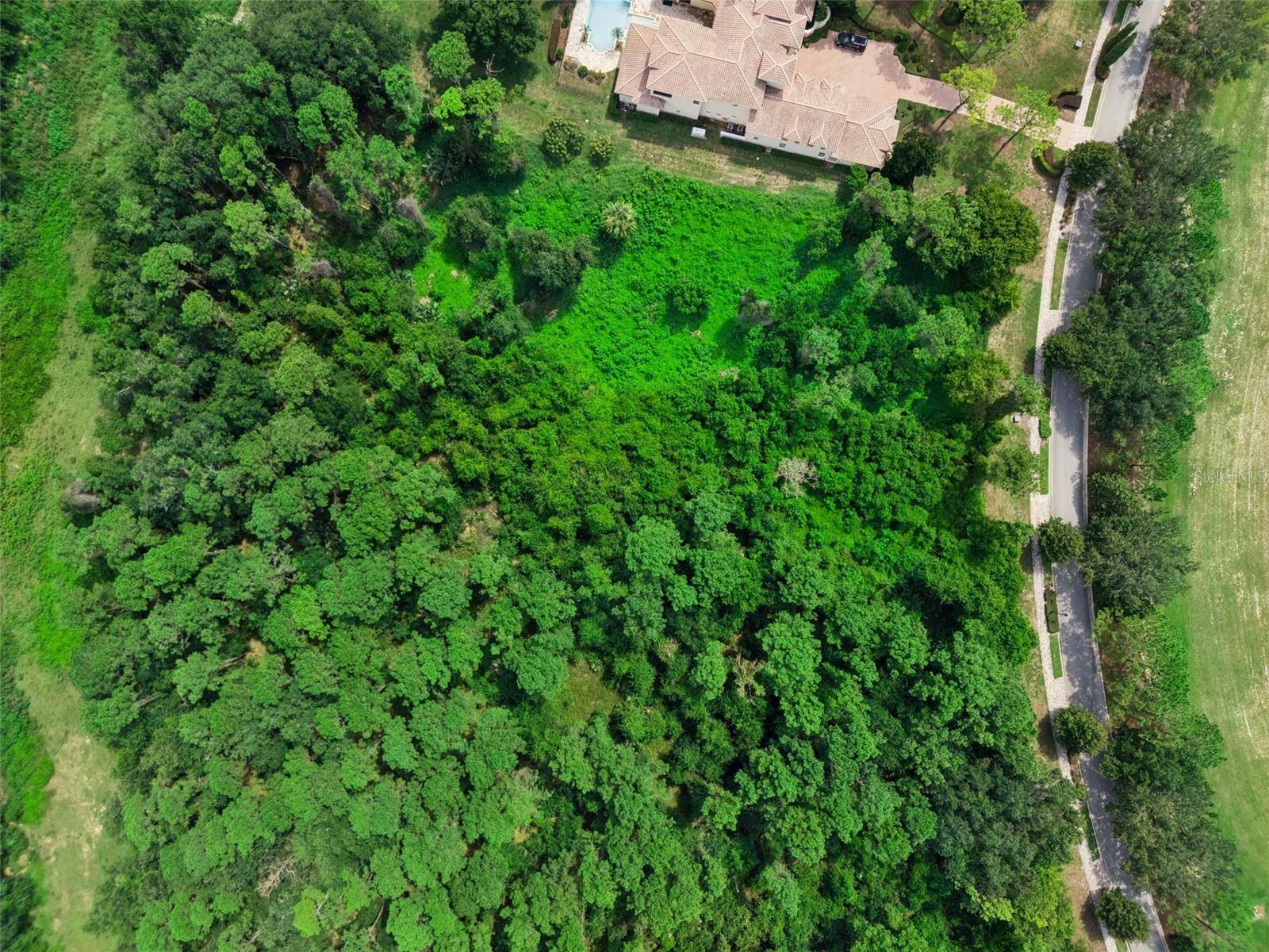 17135 ETRUSCAN LN, Montverde, FL 34756