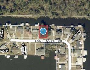 E COVE DR, Tavares, FL 32778