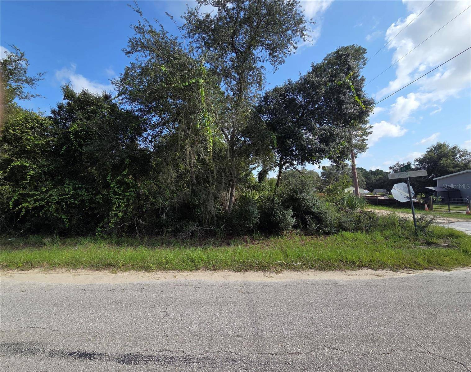 PINE ST, Paisley, FL 32767