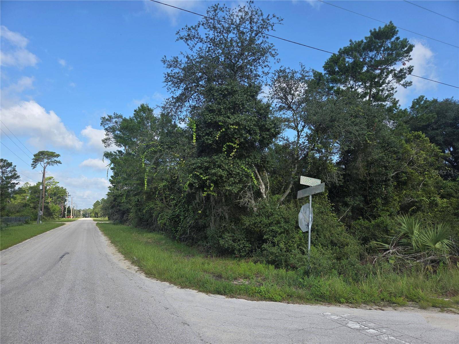 PINE ST, Paisley, FL 32767
