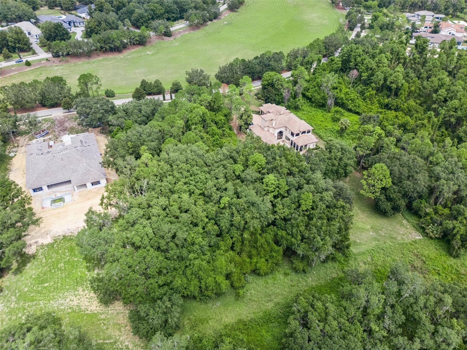 17119 ETRUSCAN LN, Montverde, FL 34756