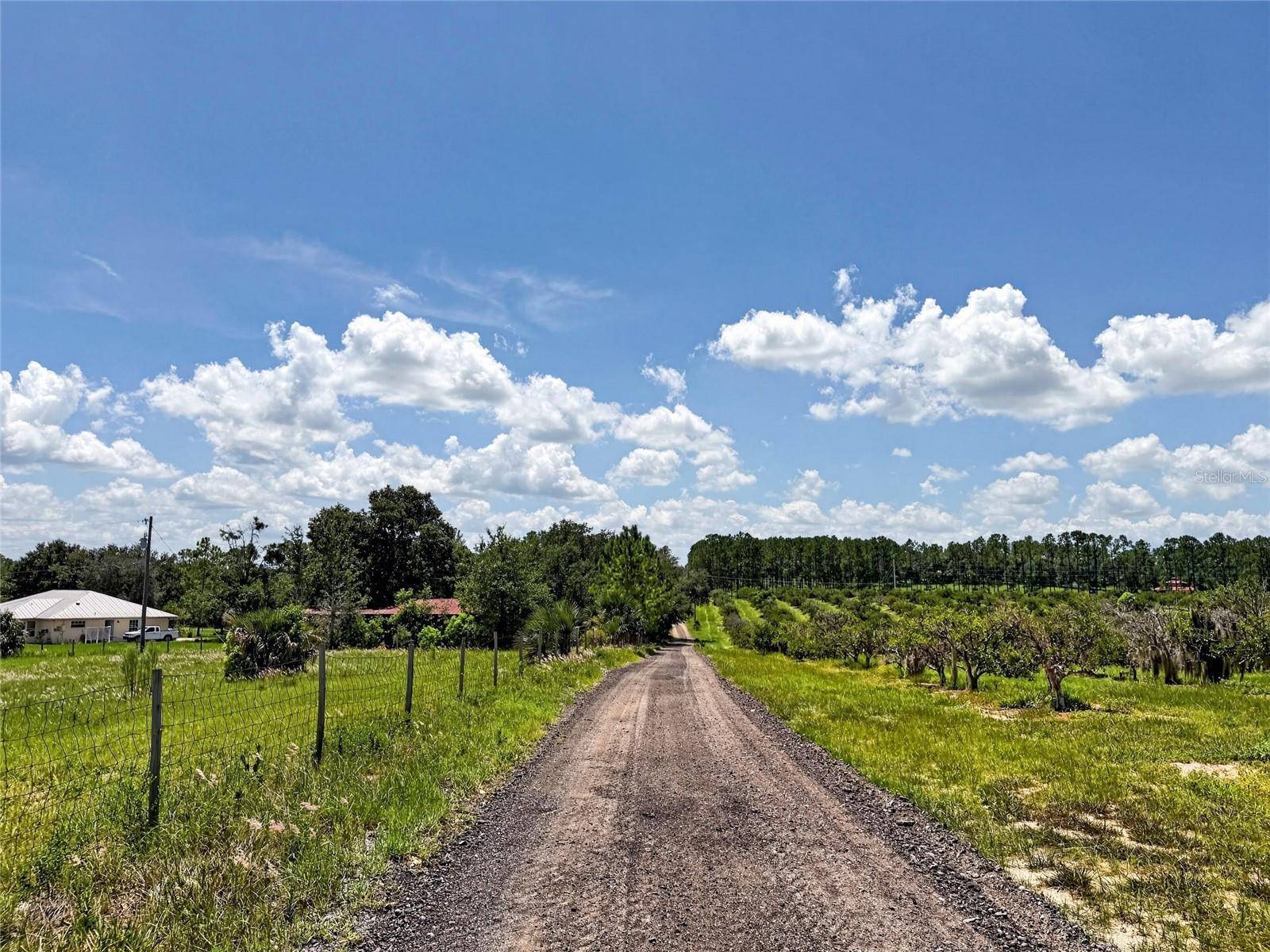 37647 JENNY LN, Eustis, FL 32736