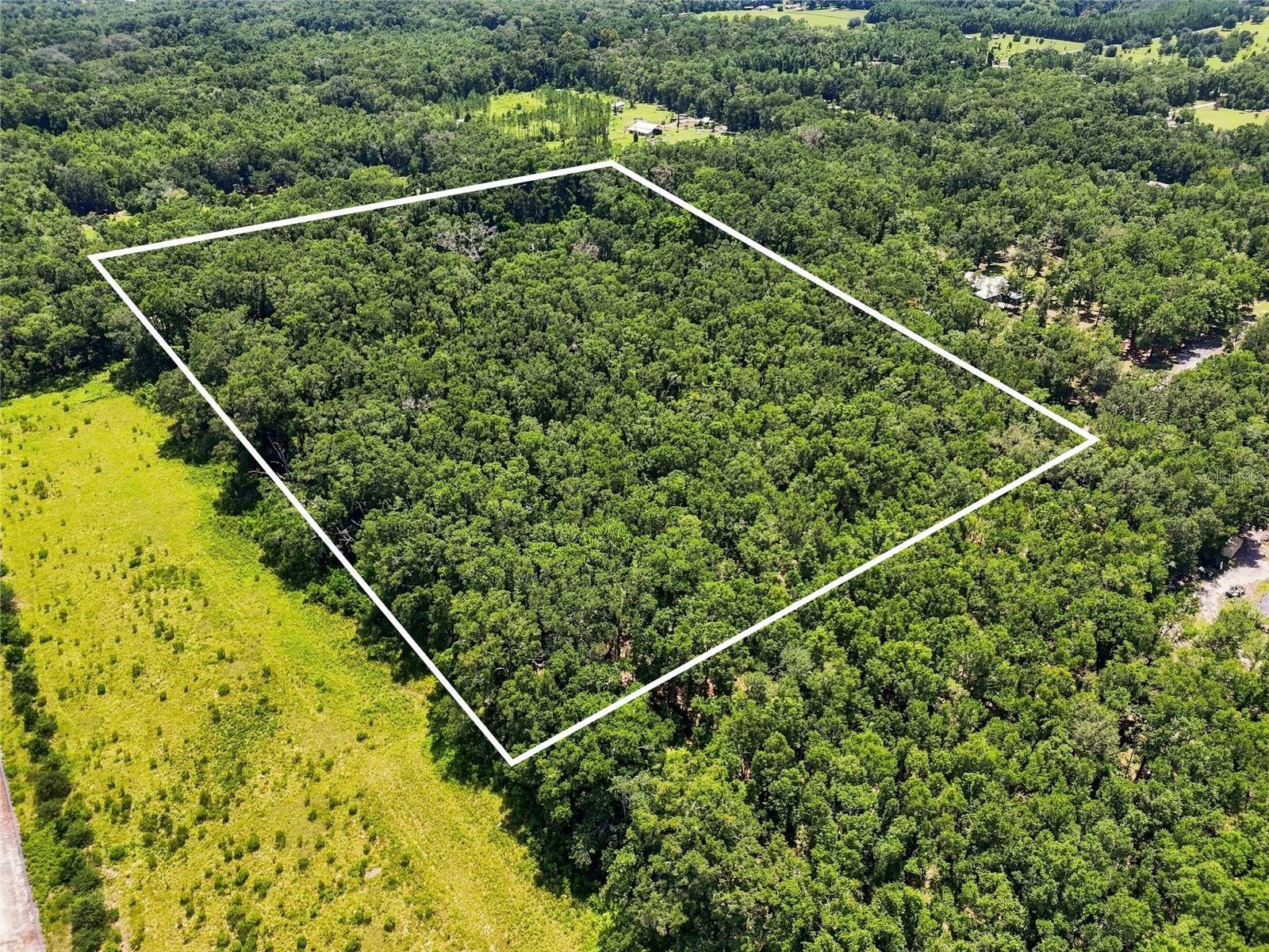 459 SW BIGFOOT CT, Fort White, FL 32038