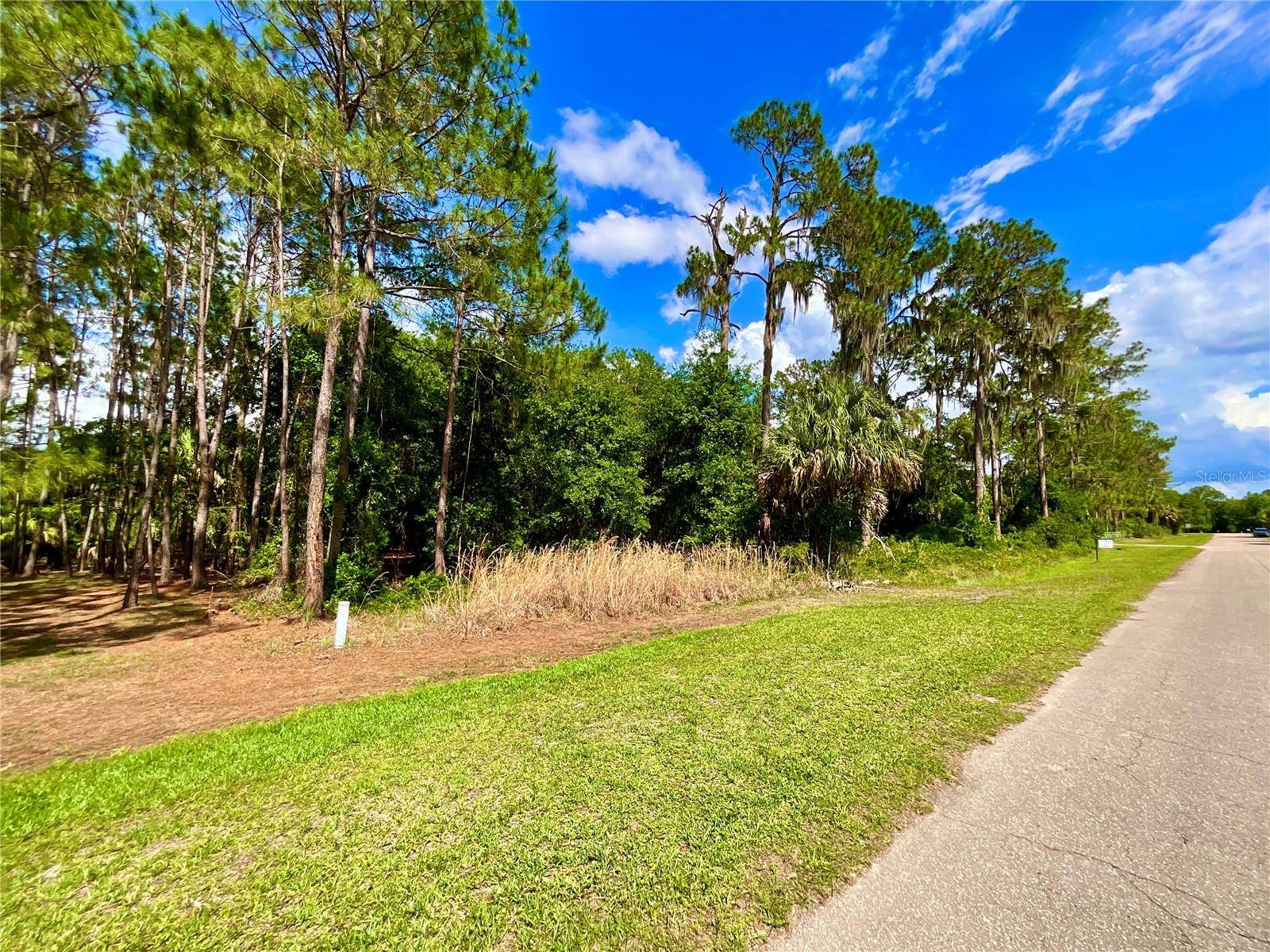 14029 SE 201ST TER, Hawthorne, FL 32640
