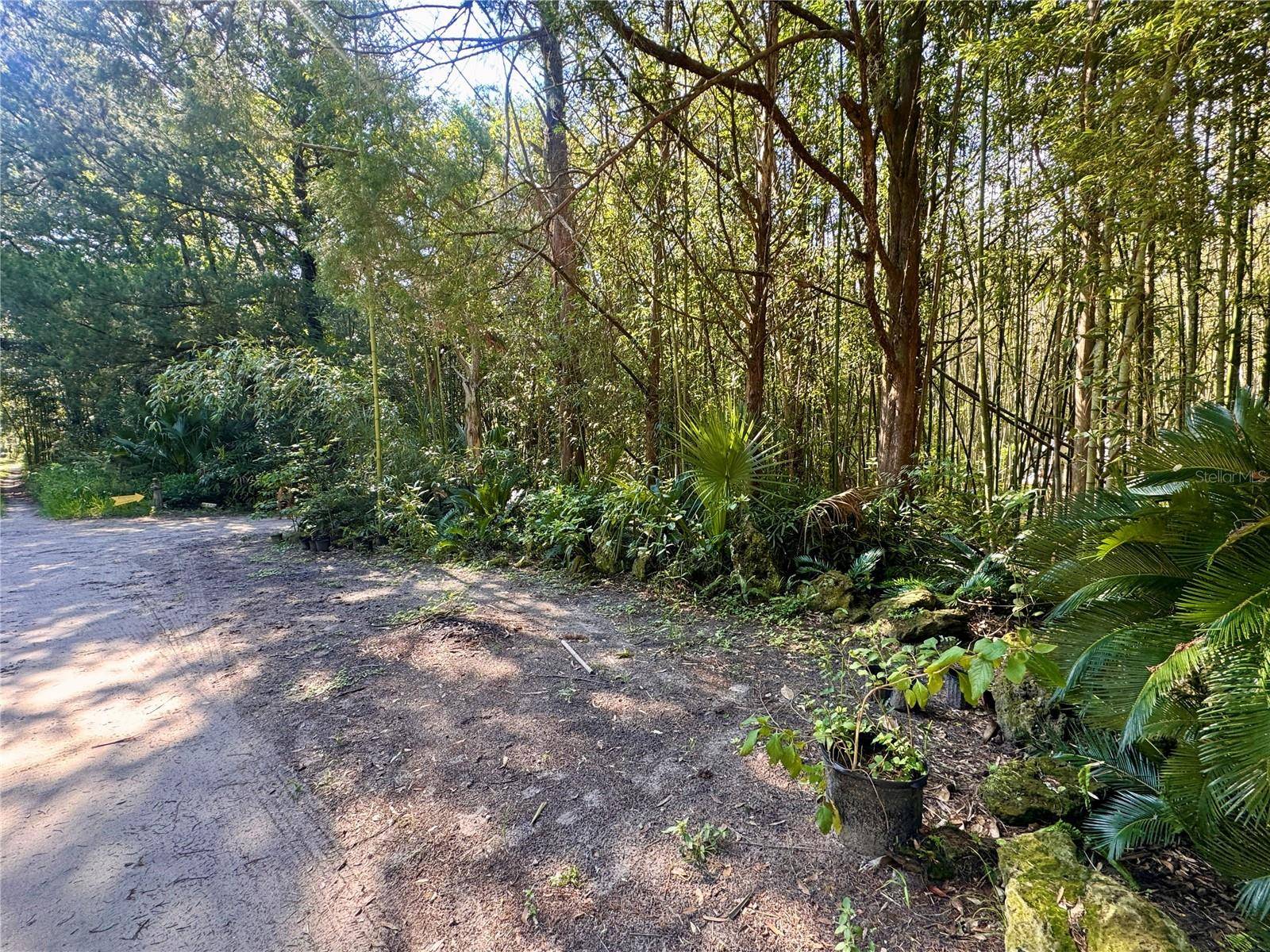 17970 SW 111TH ST, Brooker, FL 32622