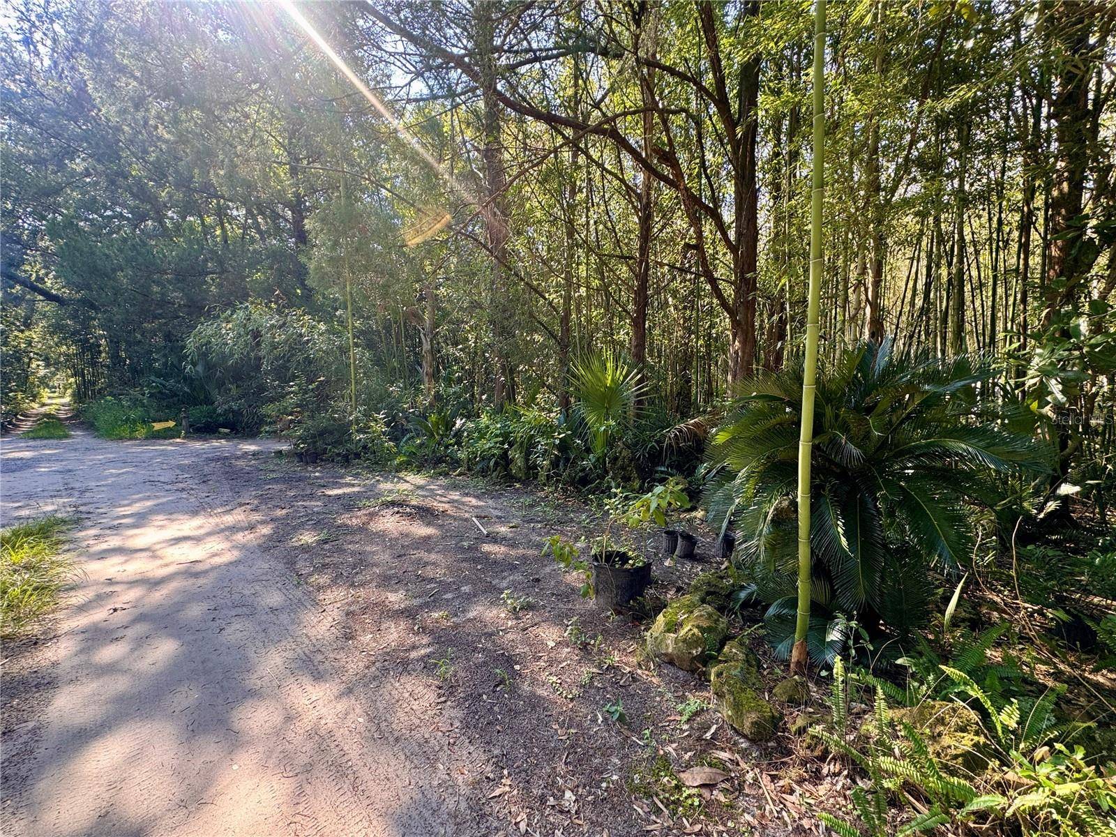 17970 SW 111TH ST, Brooker, FL 32622