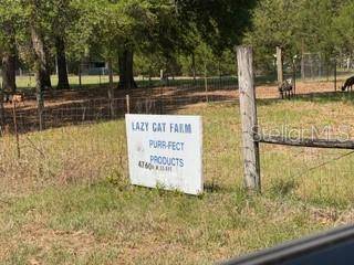 4760-A NW 55TH AVE, Bell, FL 32619