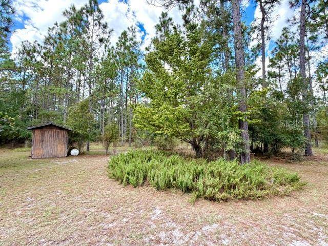 4850 NW 55TH AVE, Bell, FL 32619