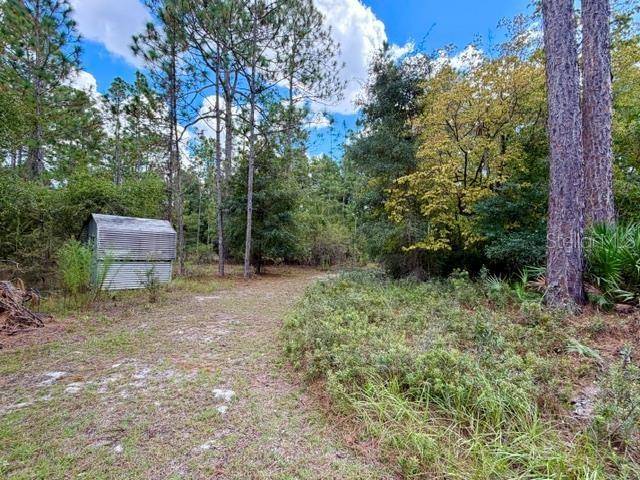4850 NW 55TH AVE, Bell, FL 32619