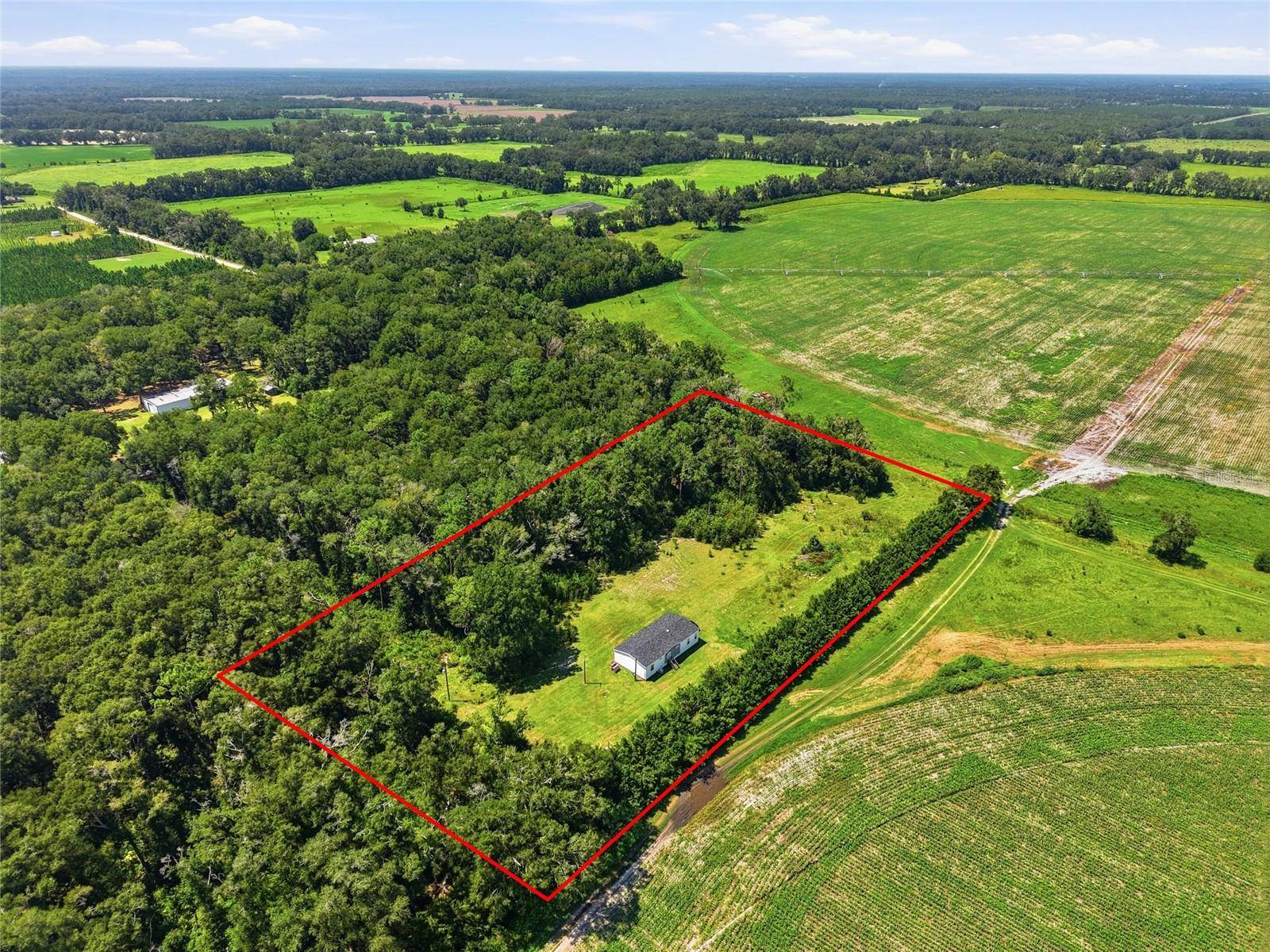 4754 SW 10TH ST, Bell, FL 32619