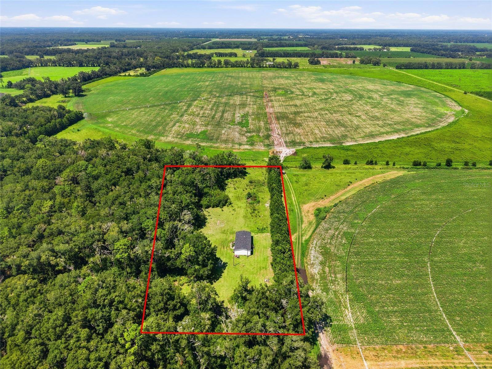 4754 SW 10TH ST, Bell, FL 32619