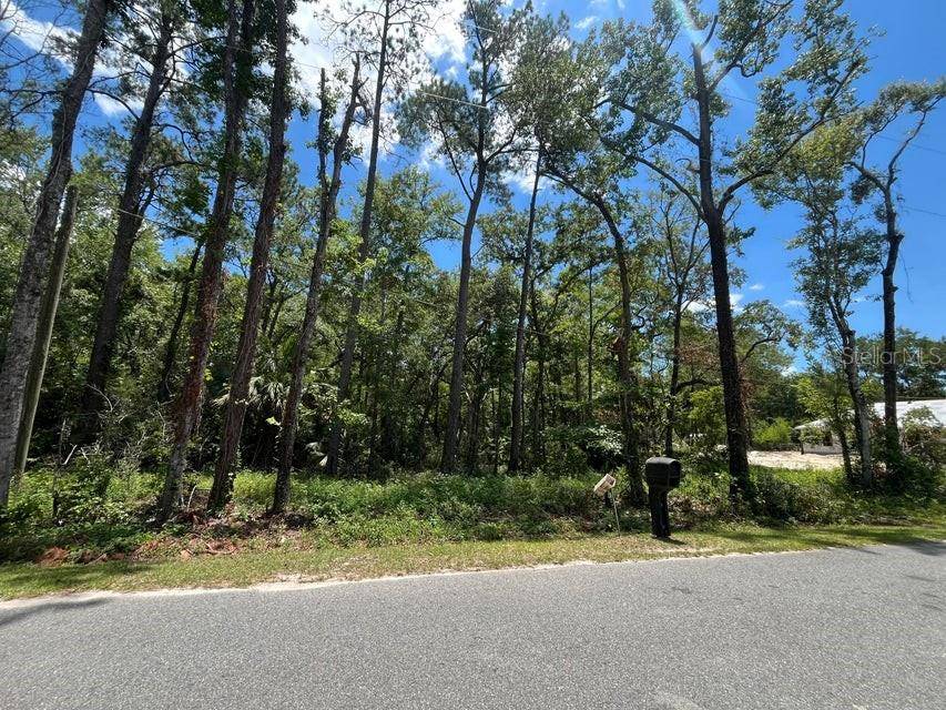 tbd FRANKLIN DR, Crawfordville, FL 32327