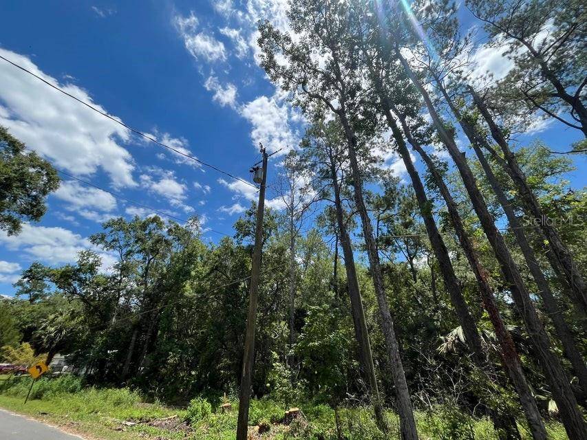 tbd FRANKLIN DR, Crawfordville, FL 32327