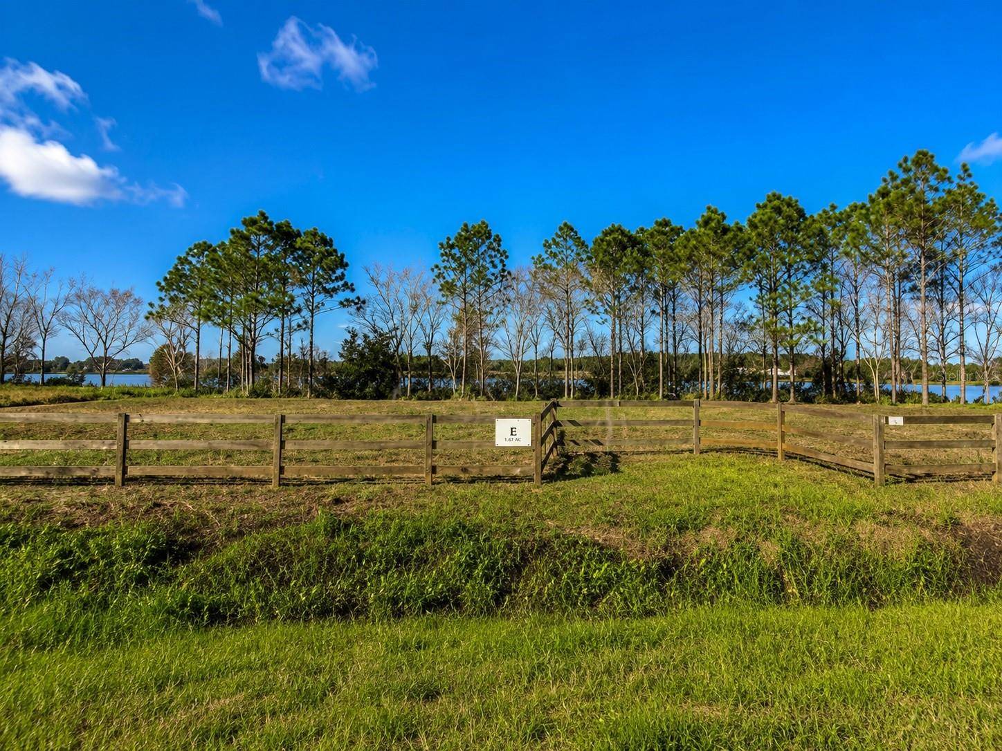1380 OLD BREWSTER RD, Fort Meade, FL 33841