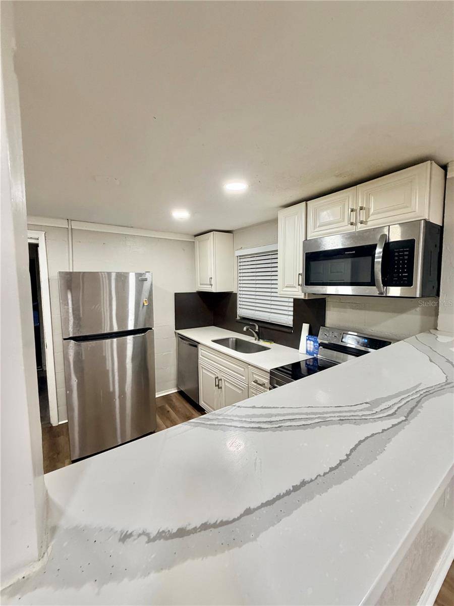 1103 GRANT AVE, Mount Dora, FL 32757