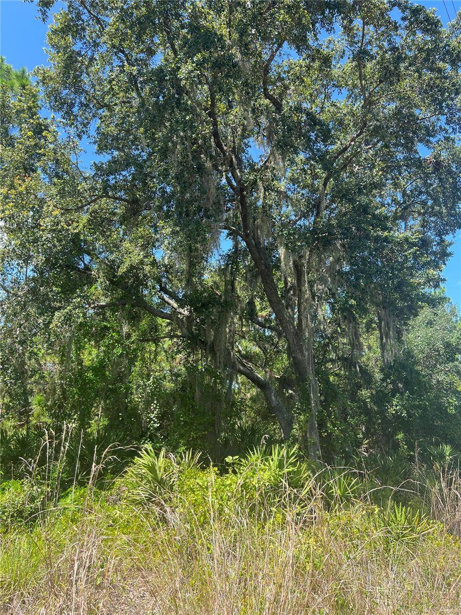 0 GRANADA DR, Indian Lake Estates, FL 33855