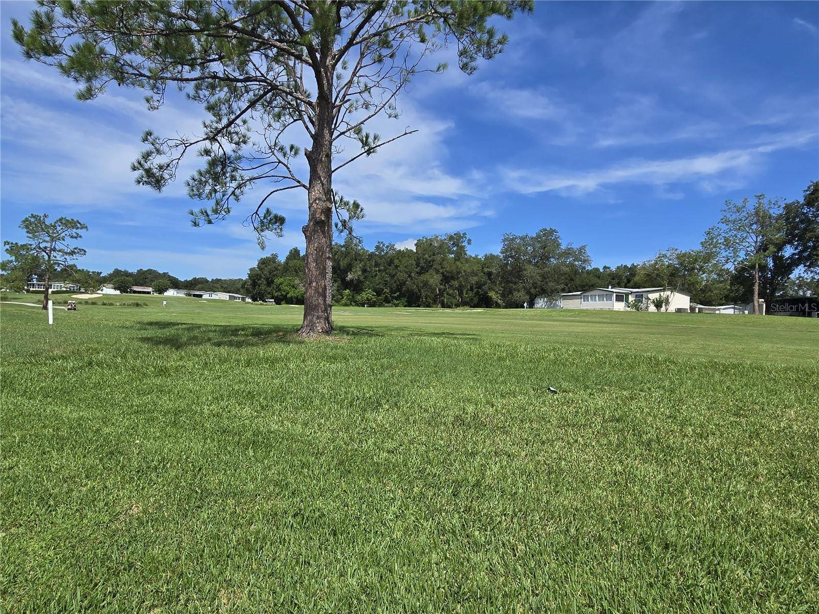 4121 GREENBLUFF RD #1895, Zellwood, FL 32798