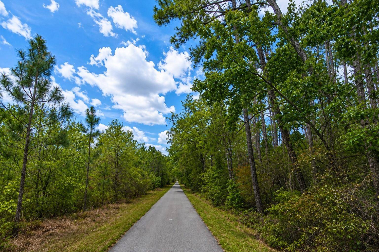 00 VAN FLEET TRL, Polk City, FL 33868
