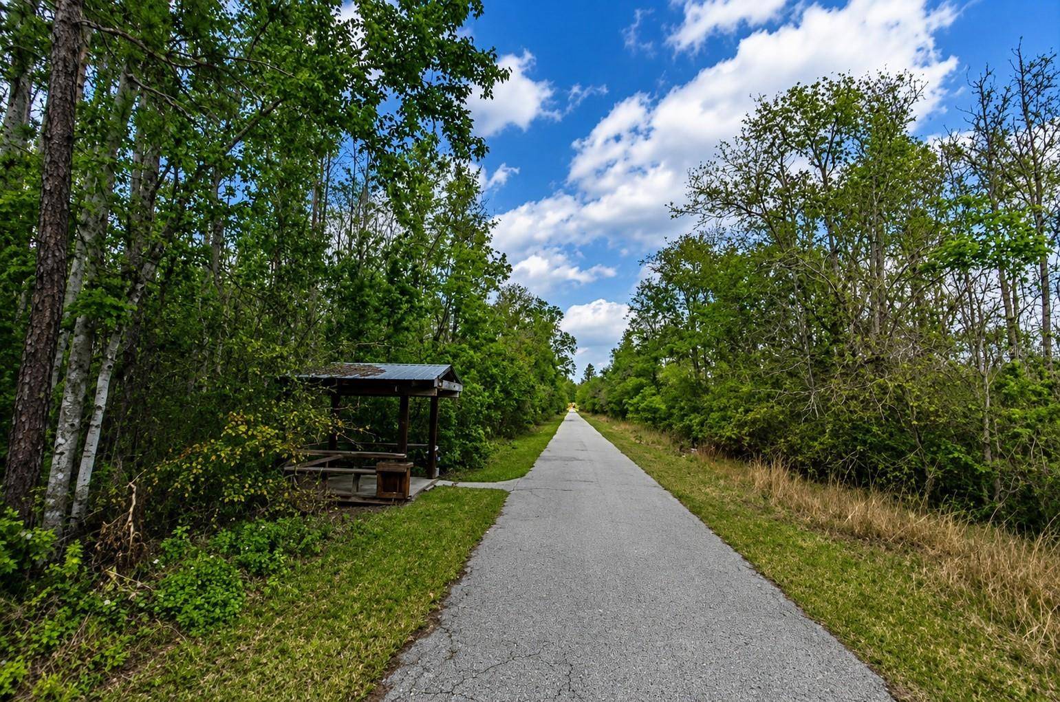 00 VAN FLEET TRL, Polk City, FL 33868