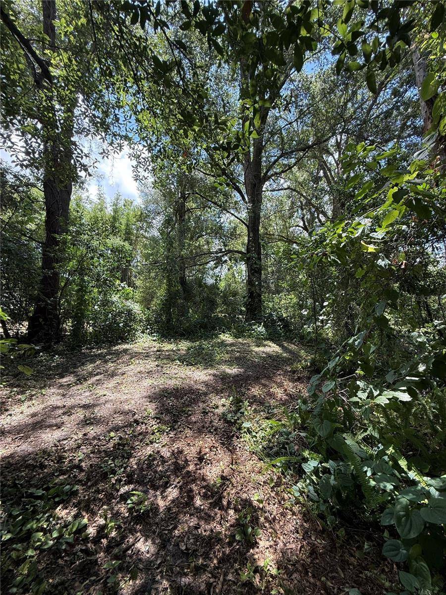 MATCHETT, Belle Isle, FL 32809