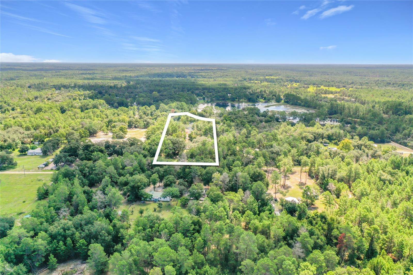 41945 PINE VALLEY DR, Paisley, FL 32767