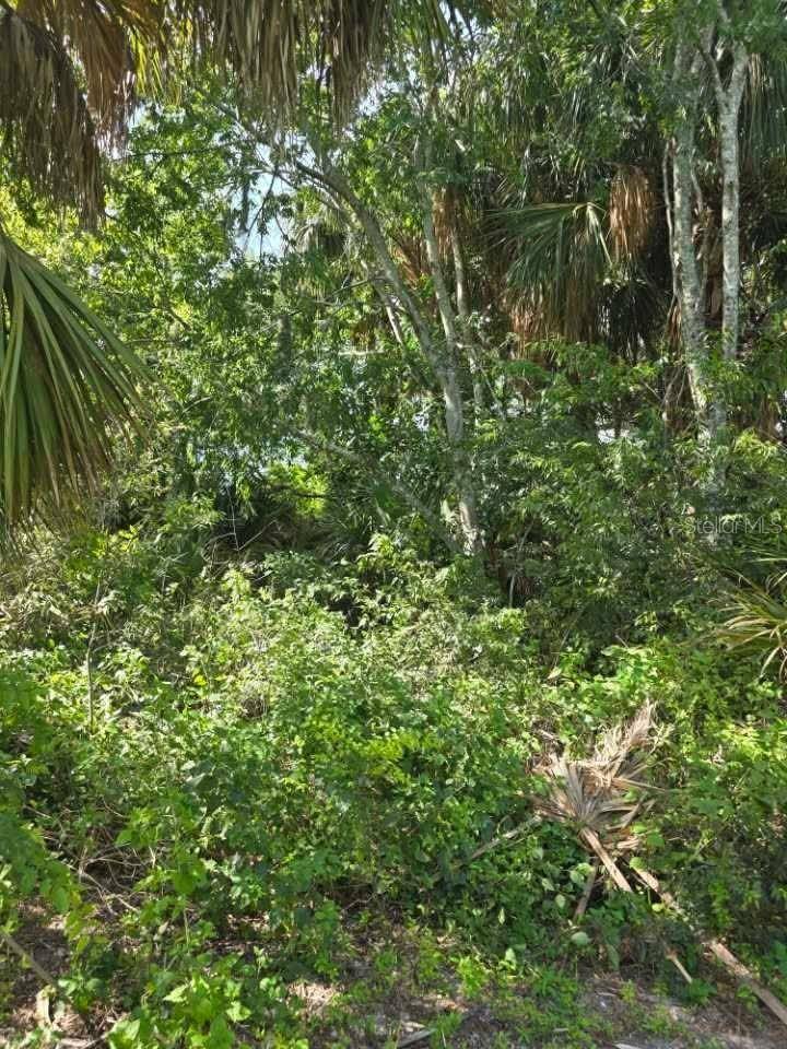 16980 SW CONNERS HWY, Canal Point, FL 33438