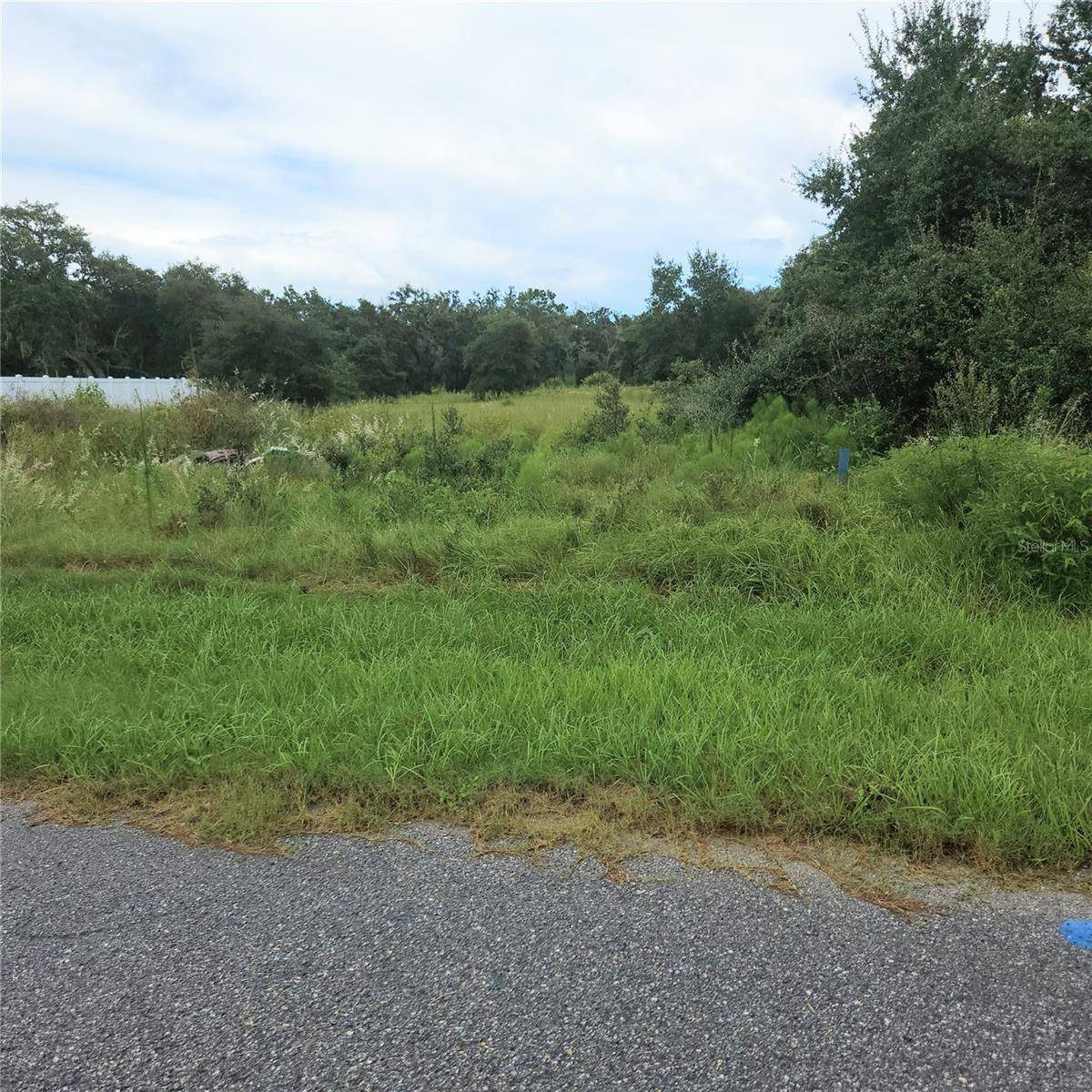 1621 PICKEREL CT, Poinciana, FL 34759