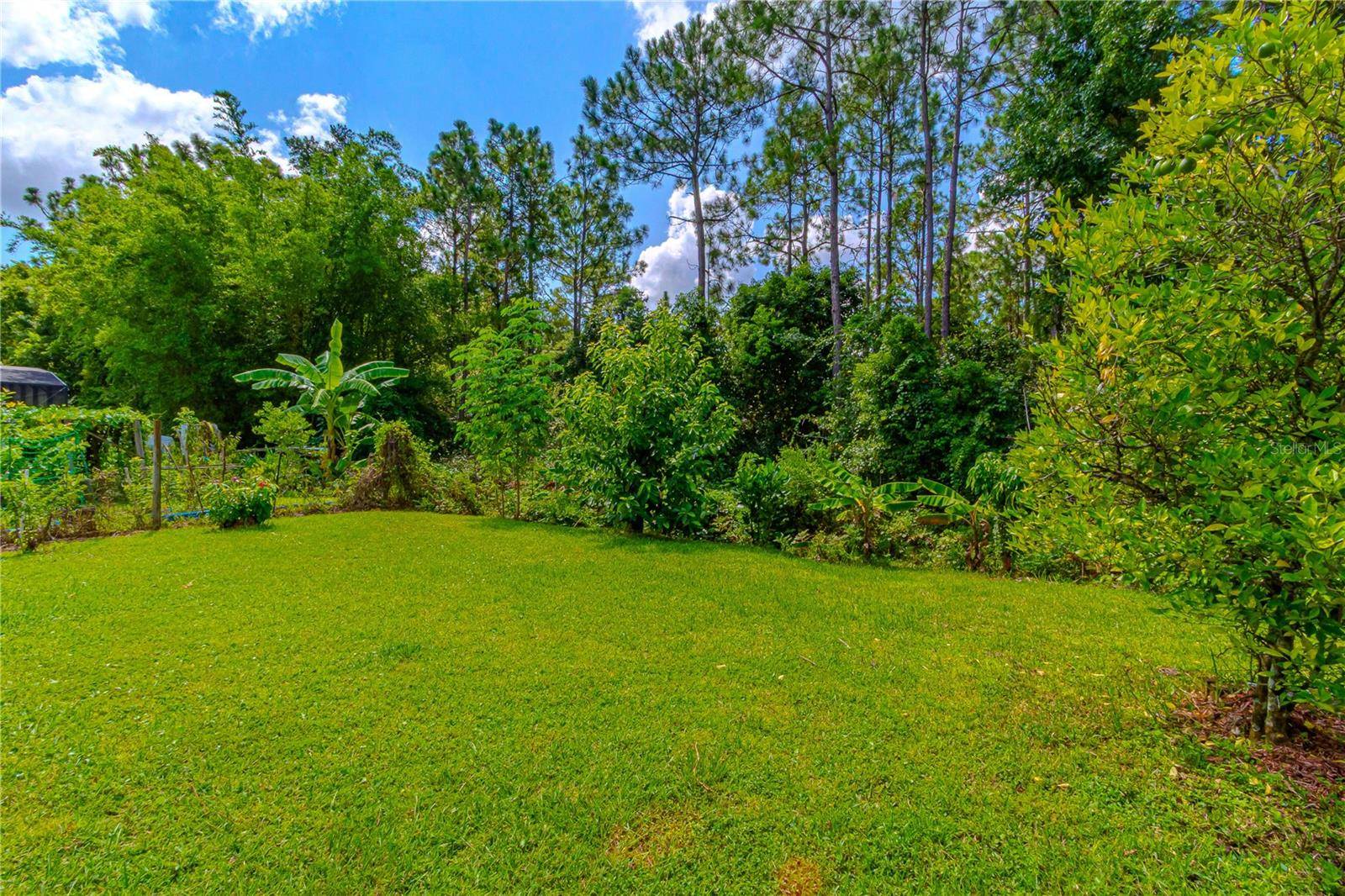10462 WILLOW RIDGE LOOP, Orlando, FL 32825