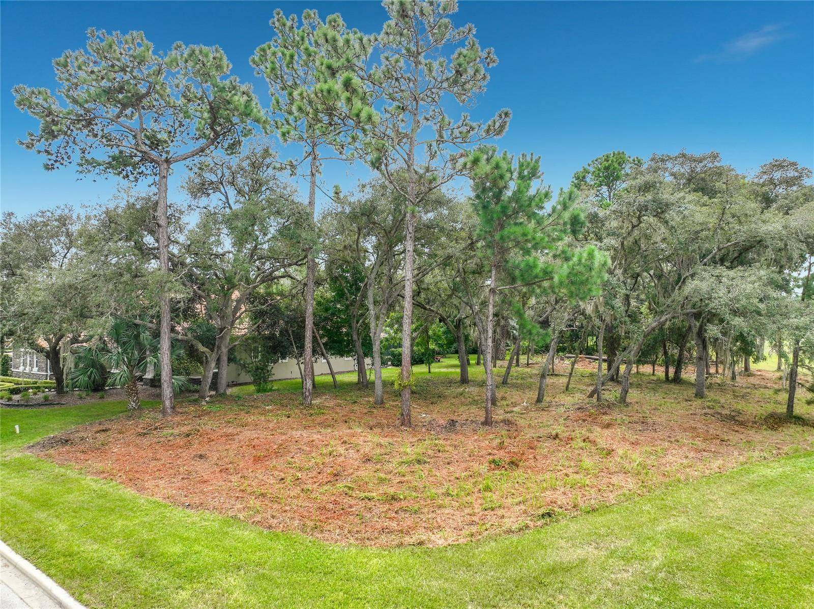 262 OSPREY HAMMOCK TRL, Sanford, FL 32771