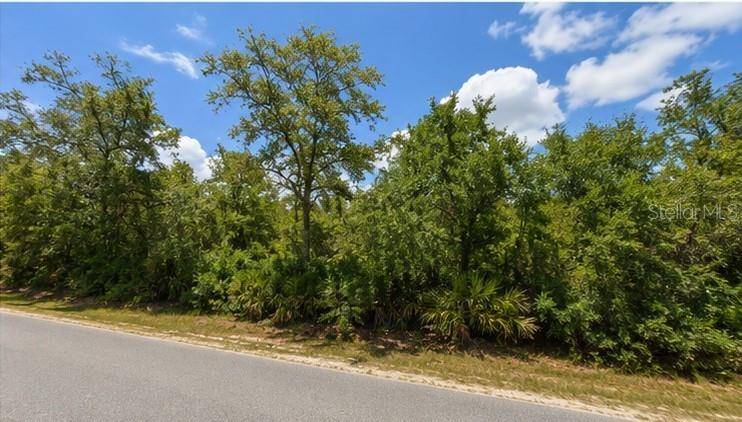 00 COUNTRY RD, Eustis, FL 32726