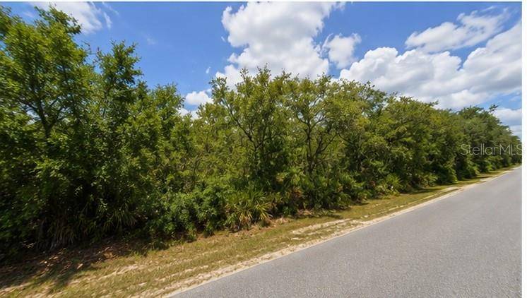 00 COUNTRY RD, Eustis, FL 32726