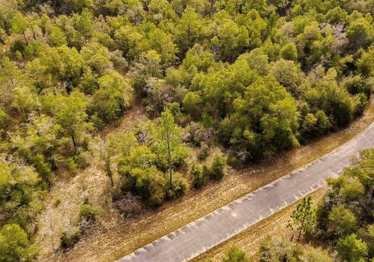 lot #41 DANDELION DR, Chipley, FL 32428